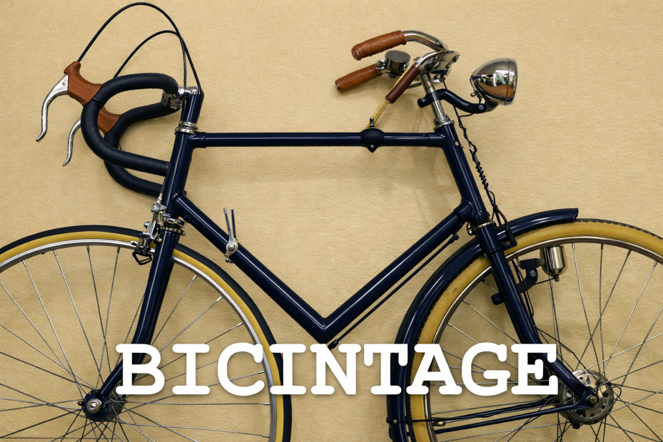 Bienvenidos a Bicintage ¡¡